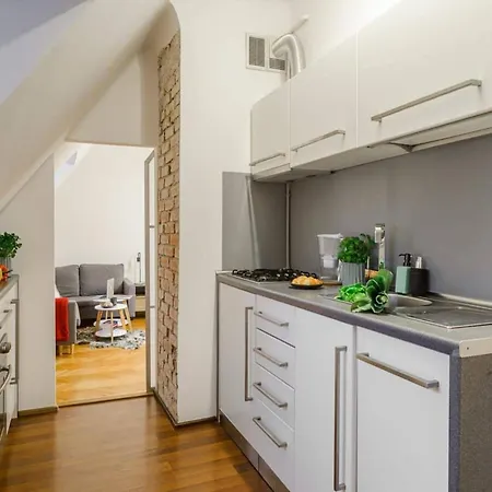 Elegant Loft-style For 10 Апартаменти Варшава