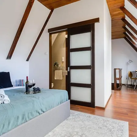 Апартаменти Elegant Loft-style For 10 Варшава